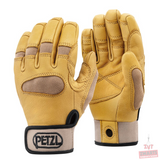CORDEX PLUS  L (Beige)